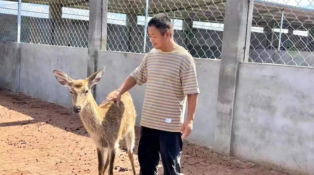 澳门新匍京怎么下载